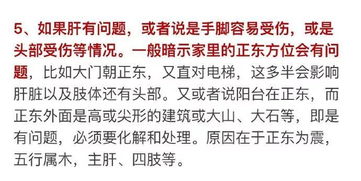 鸟屎砸头？恭喜中奖！