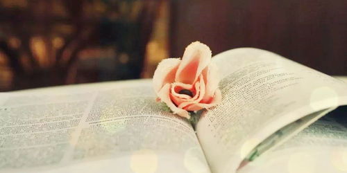 余悸未消，星座运势的持续低迷