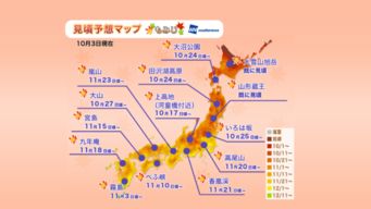 惯与距离：数字只是冰冷的开始