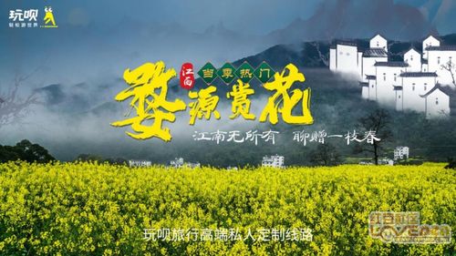 季节？选错时间你会哭晕在厕所！