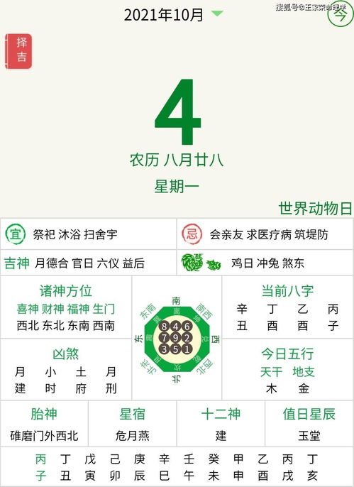 如何查询2026年个人运势预测？