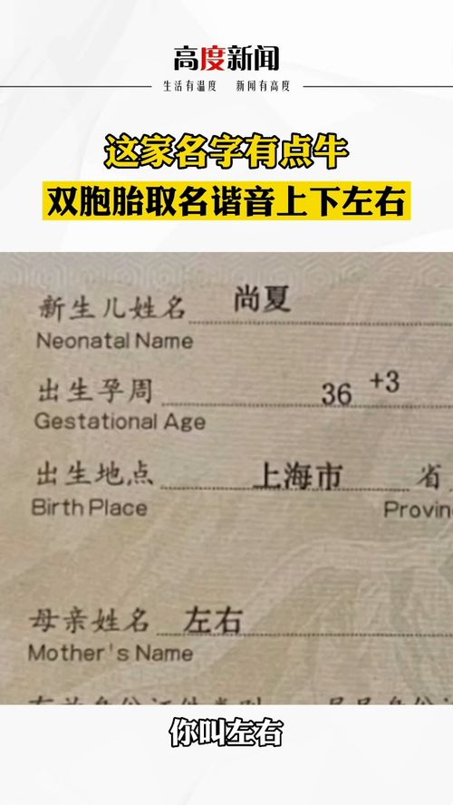 有没有包含鸣字谐音的公司名称推荐？