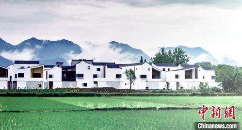 乡村在dou市,乡野风水神医小说