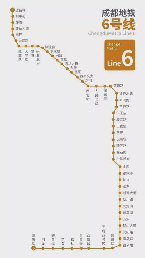 成都宜家地铁站周边：一场荒诞不经的都市冒险