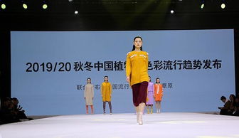 一、 从传统方式到创崭新：陆军的起步与突破