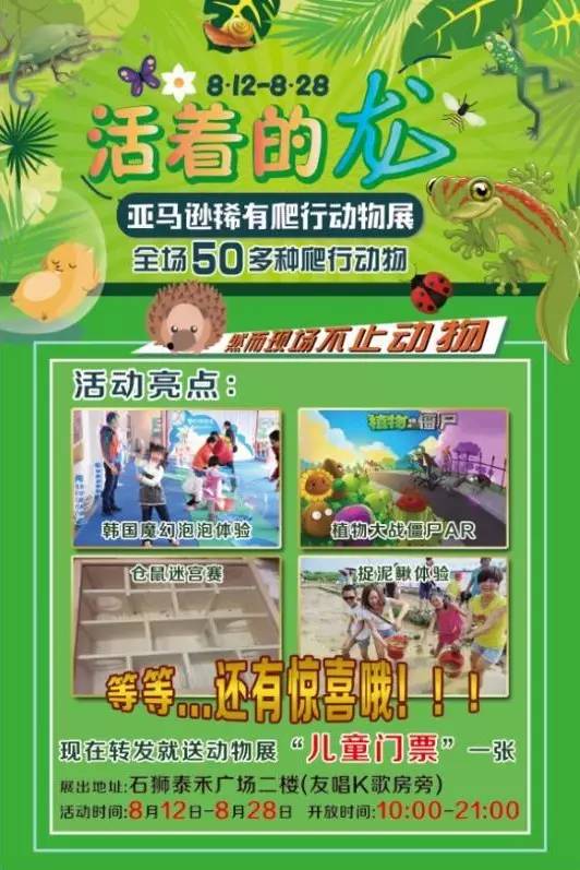 天啦噜！带毛孩子出门的