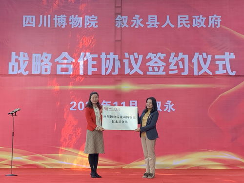 官方宣传语 VS 实际体验（对比式乱写）