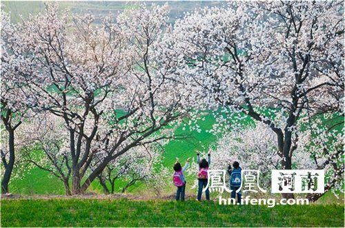 一、桃花谷到底在哪儿？（别问我怎么了解的）