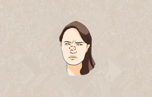 二、 鼻子：夫星与财富的体现