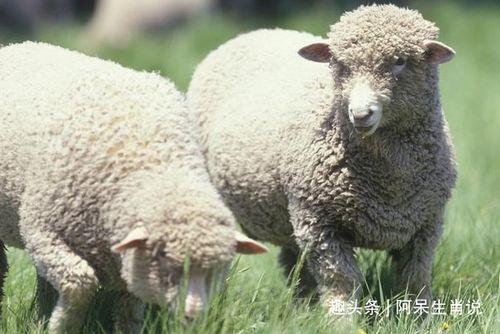 正财稳健路线：坚持老道理，不要贪图一时迅速感。