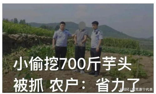 那个傻蛋和破石头的奇幻漂流记