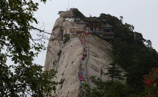 四 、   华  山旅行较小贴士
