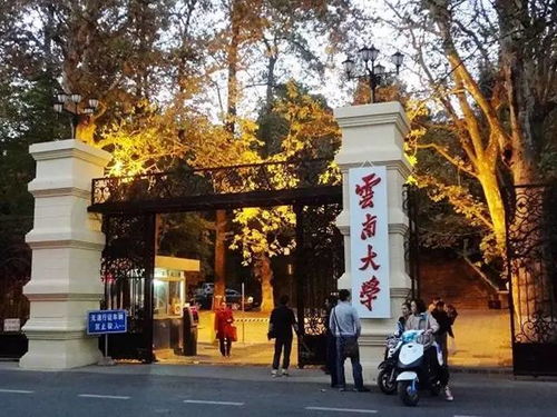 一、 洛龙公园：不仅仅是散步那么简单