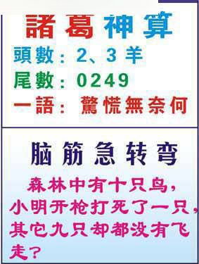 诸葛神算第251签中，我该如何解读这签的深层含义？