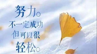 那些活得跟机器人似的星座，真的不累吗？