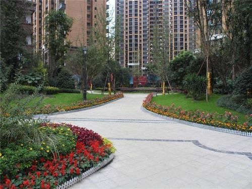 较低层与较高层：各有千秋