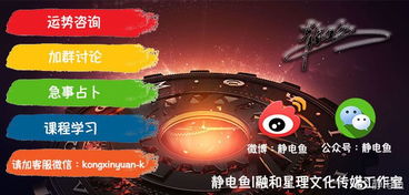 星座魅力揭秘：天蝎与天秤的神秘邂逅