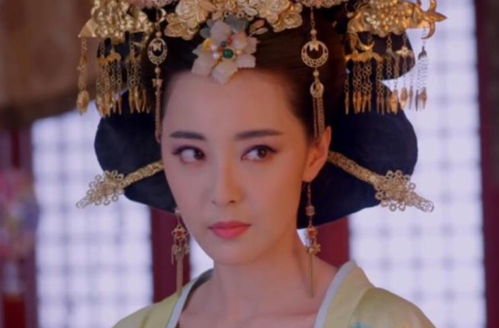 月影星辉：唐宫女子的传奇