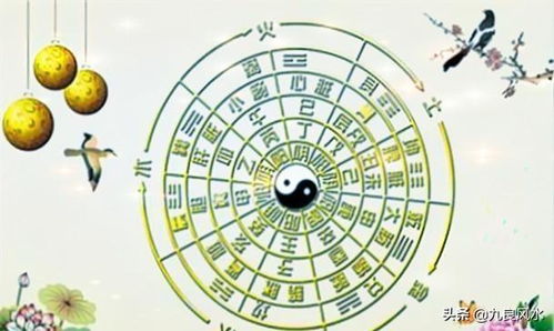 1. 星字五行争议较大揭秘