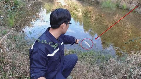 农村建水库补偿标准,农村修建一个水库大概多少钱
