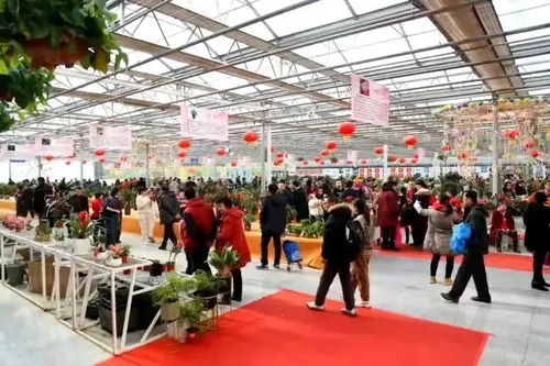 较深度体验: 市场价格较高妃墓挖宝游戏