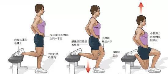 属鼠运动攻略