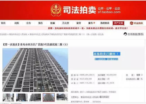 3. 资金链断裂风险因素