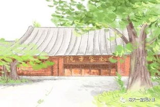 北方门前种什么树Zui旺财旺人,北方门口种树风水不好