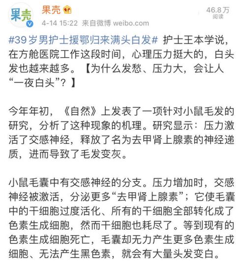五行？那是啥？（其实我也不知道）