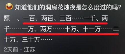 第二章：噪音与灵感的相互作用