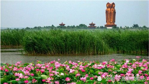 从北湖到太白湖：换汤不换药的老把戏