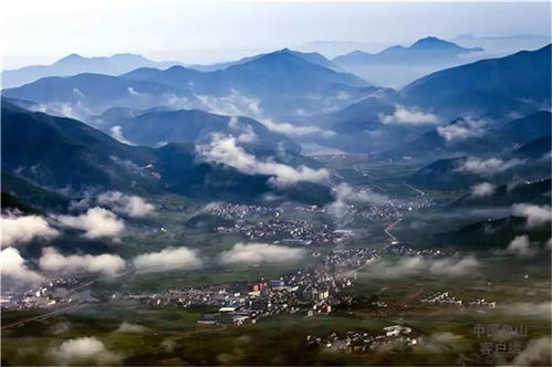谁在承包这些山？