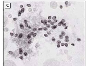 科学解释？不存在的！玄学才是王道！