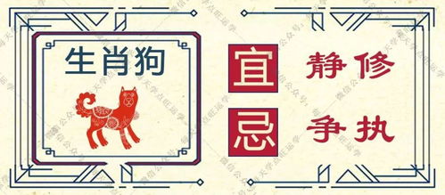 2026年3月29日，属马人运势如何？苏民峰生肖马今日运势详解？