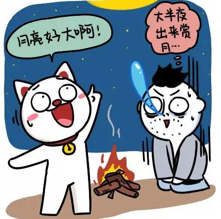 星座与生肖的奇妙交错