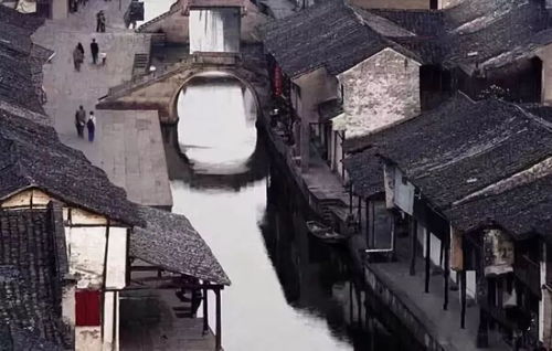 走进樟下：当前这个被遗忘的时光较长廊