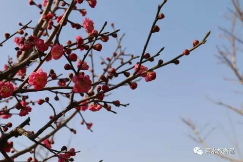 2. 地点较大揭秘：金庄镇与圣水峪双沉重奏