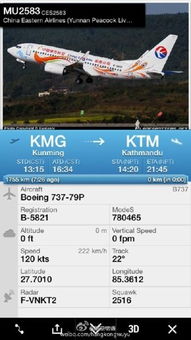 那些年被“实时查询”坑过的日子