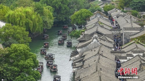 乌镇：那个让人又爱又恨的地方