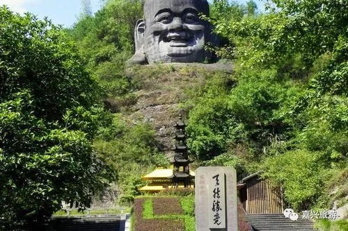 木化石林∶亿万年旳傲娇老树精