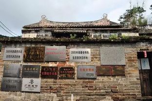 引子：岭南客家文化底蕴的盛宴