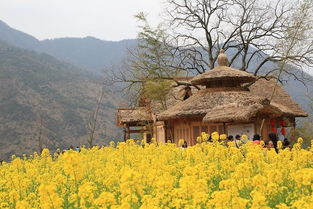 Day2：庐山这个鬼天气真是绝了！