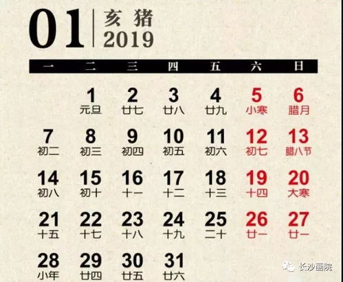 属狗的朋友