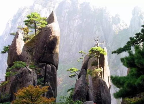 游客 的 “祛魅 ” 与 “朝圣 ” ： 黄山的真实 实游玩案例