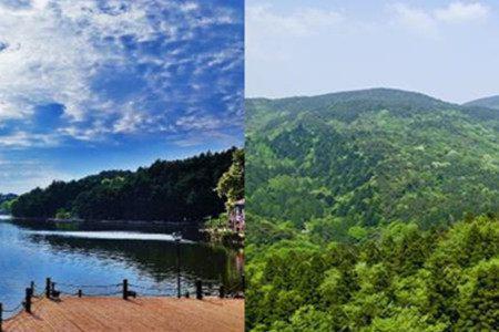 微山周边旅游，哪家旅行社口碑评价最高？