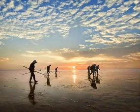 1.1 光村银滩：孩子们的乐园