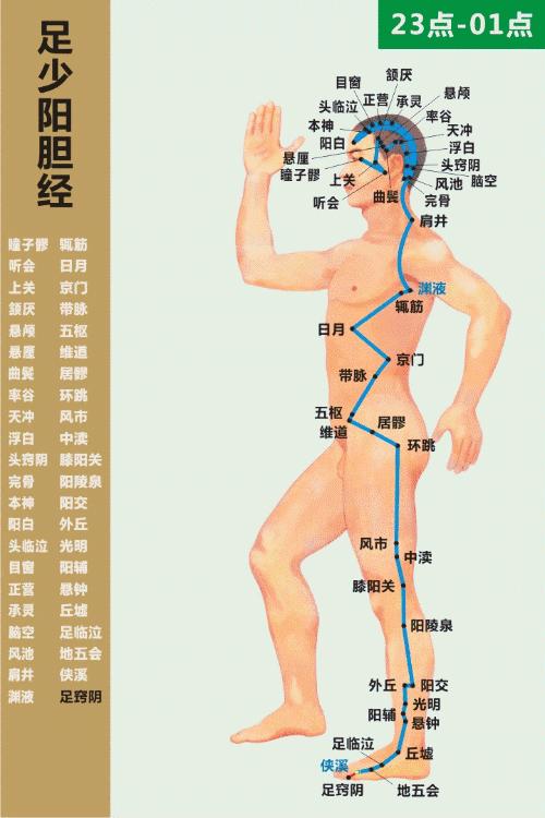 惊！肝胆藏毒竟能偷走10年寿命？2026年黄历曝破解之法