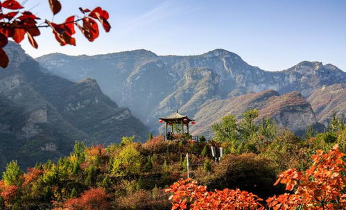 旅游看美景？呵呵，别傻了！