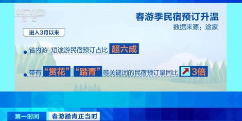 小团的隐藏福利