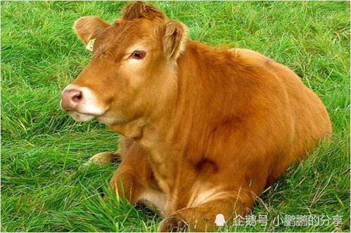 真实案例！他们居然没离婚？